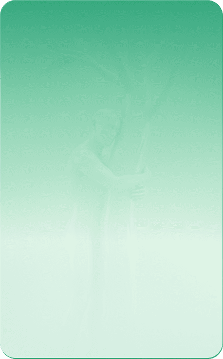 SOULFLOW YOGA